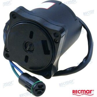 REC36120-ZY9-003 - MOTORTRIMSUZUKI/HONDA 1