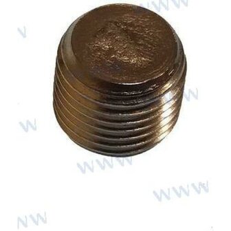 PAF15-07010004 - PLUG 1/8&quot; Yamaha 1
