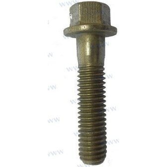 PAF8-00000003 - M8X35 SCHROEF Parsun 1