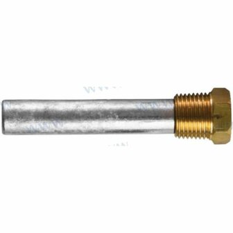 TEN02962T - COMPLETE ANODE dag 14 - L 82 1