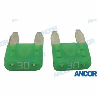 AM603930 - ATM-ZEKERINGEN 30 AMP. (2 1