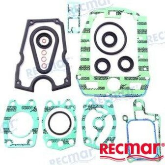 REC6A0-W0001-21 - ONDERSTE PAKKINGSET Yamaha 1