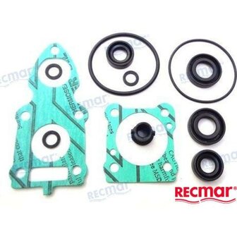 REC6G1-W0001-C1 - ONDERSTE PAKKINGSET Yamaha 1