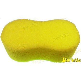 STA40074 - &quot;BONE&quot; SPONS 22X12X8 CMS. 1