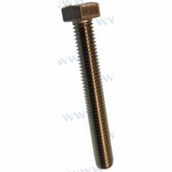 PAGB/T5782-M6X45 - ZESKANTIGE SCHROEF M6X45 Yamaha 1