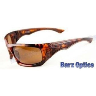 BOESANTA2.50 - SAN JUAN BF 2.50 T AMBER ZONNEBRIL 1