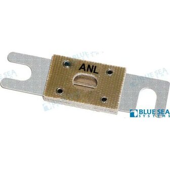 BS5125 - ANL ZEKERING 100A 1
