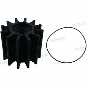 CEF500181G - CUMMINS-Impeller 1
