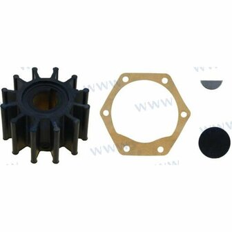 CEF500208 - Impeller Jabsco 1
