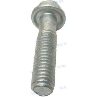 REC90105-06M01 - SCHROEF Yamaha 1