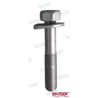 REC90119-08191 - SCHROEF MET RING Yamaha 1