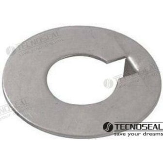 TEN00411R - RVS RING RADICE ZINK SCHACHT 30 1