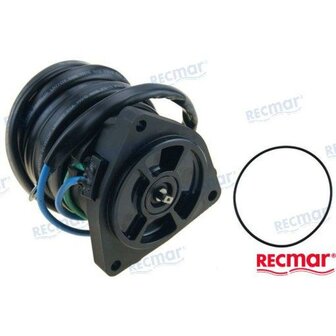 REC63P-43880-22 - MOTORTRIM Yamaha 1