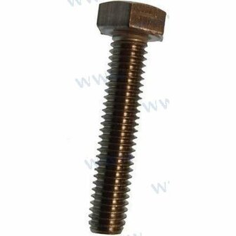 PAGB/T5783-M6X30 - ZESKANTSCHROEF M6X30 Yamaha 1