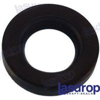 LASEX-100 - 1&quot; Afdichtring 1