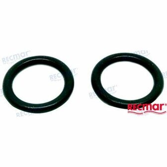 REC24311-000100 - RUBBEREN RING Yanmar 1