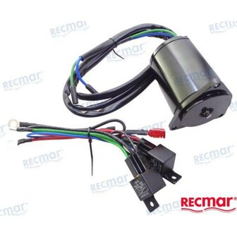 REC688-43880-11 - TRIMMOTOR Yamaha 1