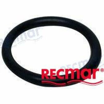 REC25-30613 - O-RING Bombardier 1