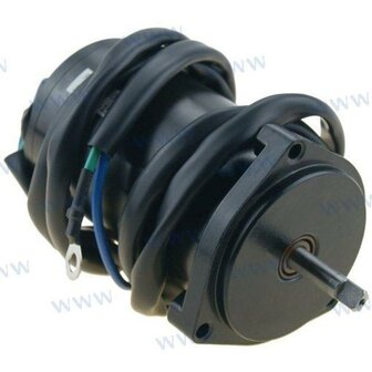 PAF60-06030000 - MOTORTRIM Parsun 1