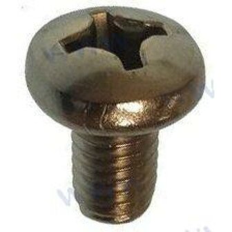 PAGB/T818-M6X10 - SCHROEF M6X10 Parsun 1