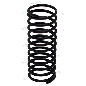 PAT40-10020004 - LENTE Parsun 1