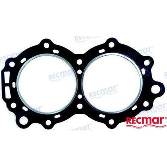 REC307069 - CILINDERKOPPAKKING Bombardier 1