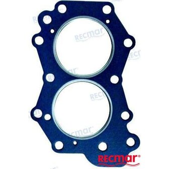 REC329103 - CILINDERKOPPAKKING Bombardier 1