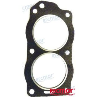 REC330818 - CILINDERKOPPAKKING Bombardier 1