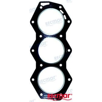 REC332817 - CILINDERKOPPAKKING Bombardier 1