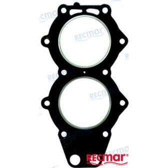 REC335359 - CILINDERKOPPAKKING Bombardier 1