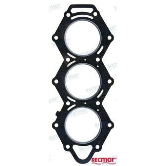 REC3F3-01005-0 - CILINDERKOPPAKKING Tohatsu 1