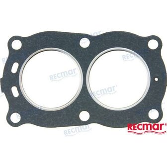 REC802307 - CILINDERKOPPAKKING Bombardier 1