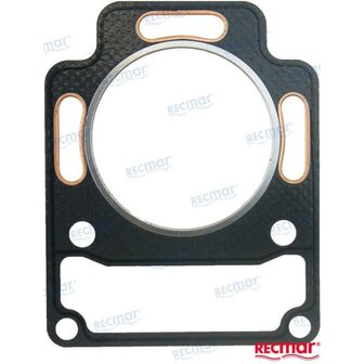 REC859151 - CILINDERKOPPAKKING Volvo 1