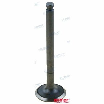 REC119171-11110 - UITLAATKLEP Yanmar 1