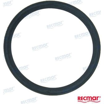 REC119578-49110 - THERMOSTAAT PAKKING Yanmar 1