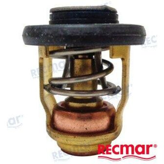 REC6E5-12411-02 - THERMOSTAAT Yamaha 1