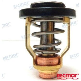 REC6E5-12411-30 - THERMOSTAAT Yamaha 1