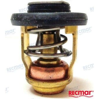 REC6H3-12411-10 - THERMOSTAATSET Yamaha 1