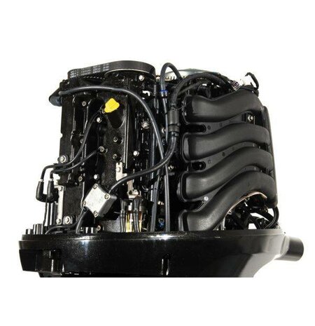FL100FEX-T-EFI - Parsun 100 PK 4-Takt - 25 inch Langstaart Buitenboordmotor Zwart - Electrische start - Linksdraaiend - Afstand