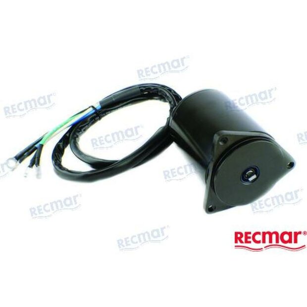 REC61A-43880-02 - YAMAHA TRIMMOTOR 1