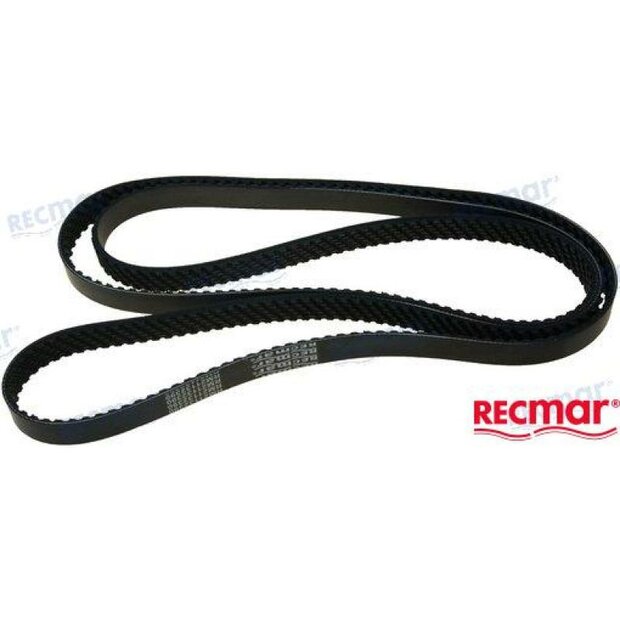 REC21132390 - VOLVO SERPETIN RIEM 1