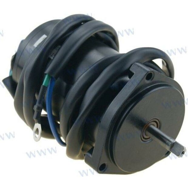 PAF60-06030000 - MOTORTRIM Parsun 1