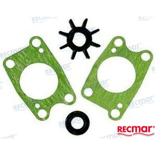 REC06192-ZV1-C00 - WATERPOMPSET Honda 1