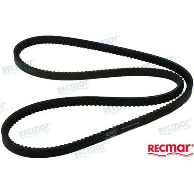 REC119593-42350 - DYNAMORIEM Yanmar 1