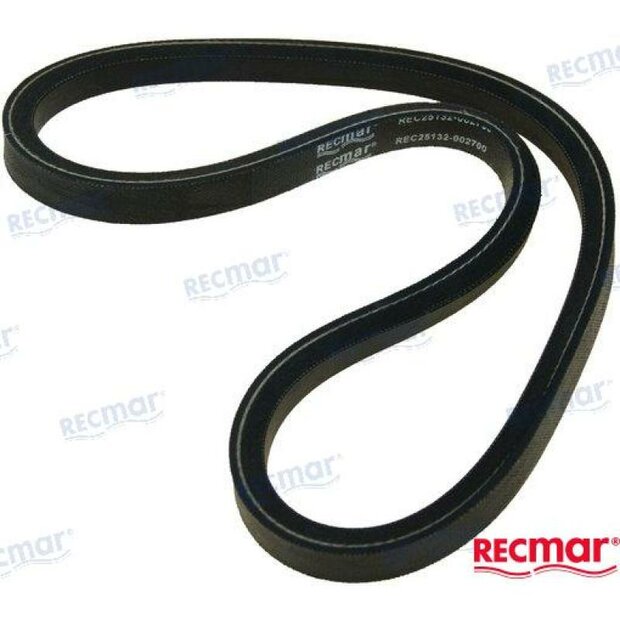 REC25132-002700 - DYNAMORIEM Yanmar 1