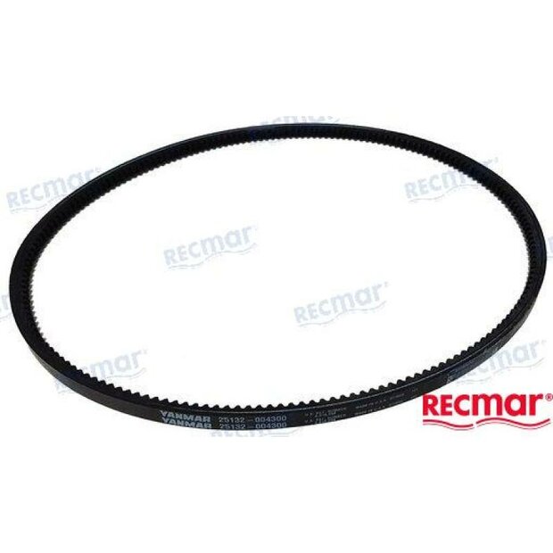 REC25132-004500 - DYNAMORIEM Yanmar 1