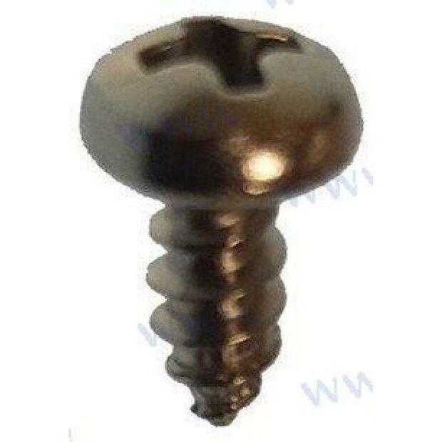 PAGB/T84.5-ST4.8X12 - ST4.8X12 SCHROEF Parsun 1