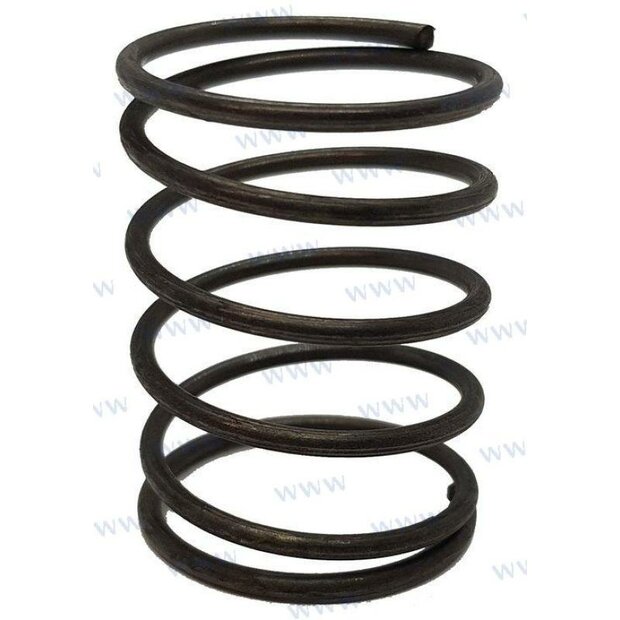 PAF6-04040007 - LENTE Parsun 1