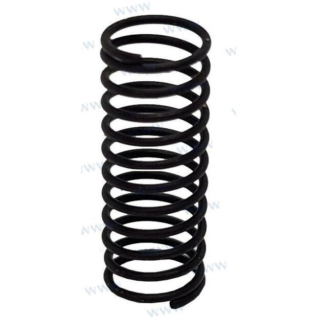 PAT40-10020004 - LENTE Parsun 1