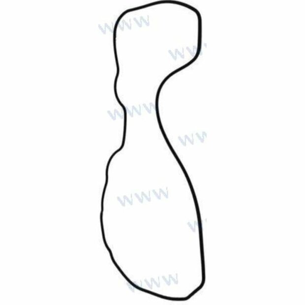 PAF40-05000002 - CILINDERKOPPAKKING Parsun 1